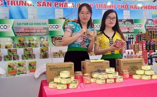 Hải Phòng: Định hướng nâng cấp 335 sản phẩm OCOP giai đoạn 2021-2025
