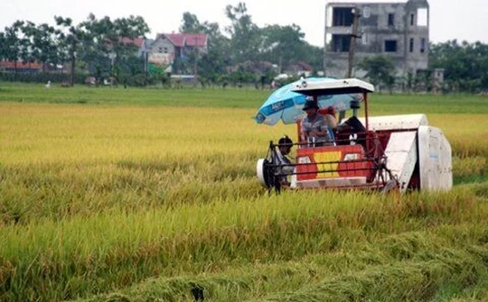 Huyện Phúc Thọ nhân rộng mô hình xây dựng cánh đồng sạch