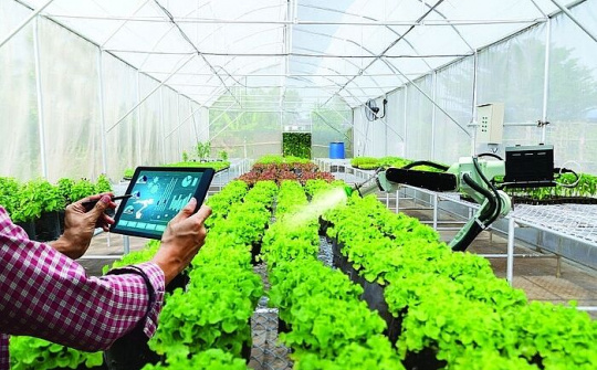 Chìa khóa thúc đẩy phát triển hệ sinh thái nông nghiệp số tại Việt Nam