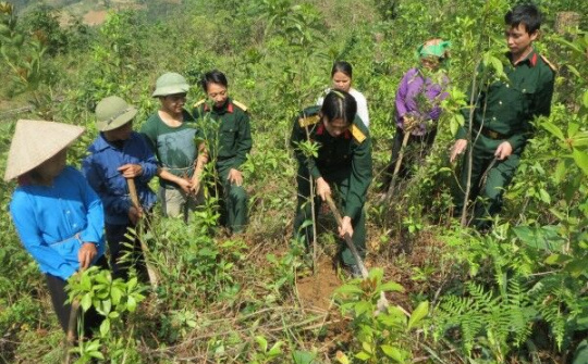 Cao Bằng: Tăng cường công tác phát triển lâm nghiệp bền vững