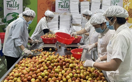 “Chia lửa” cùng Bắc Giang: Tổng cục Quản lý thị trường giúp tiêu thụ 3.000 tấn vải thiều