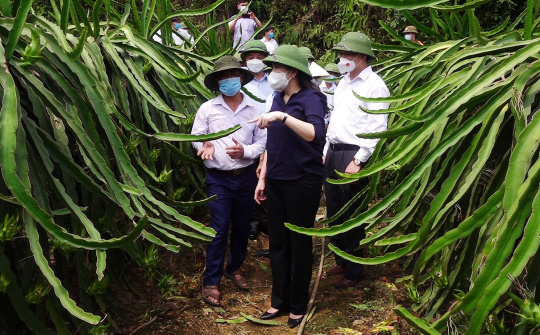 Mô hình phát triển kinh tế xã Yên Đổ, Phú Lương