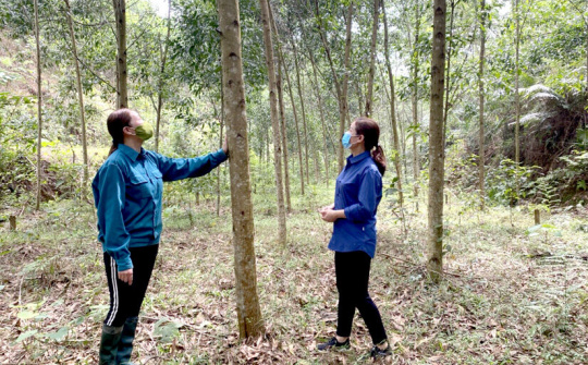 Tuyên Quang: Phát triển đảng viên chú trọng về chất lượng