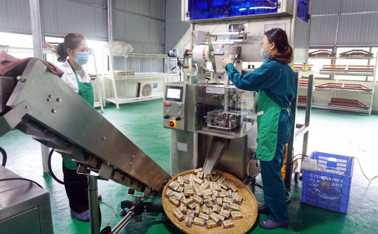 Công ty CP Nông sản Thái Nguyên: Nâng cao giá trị sản phẩm chè