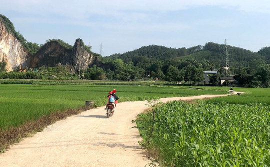Tuyên Quang: Hoàn thiện hệ thống đường giao thông nội đồng