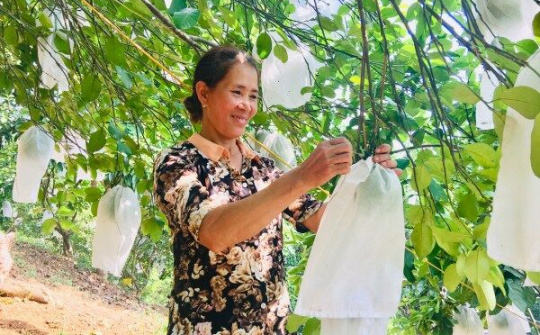 Cao Bằng: Phong trào nông dân thi đua sản xuất góp phần phát triển kinh tế - xã hội địa phương