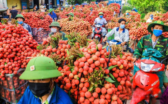Mô hình kết nối tiêu thụ nông sản: Hình thành một nền nông nghiệp minh bạch