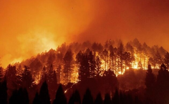 Tăng cường các biện pháp cấp bách phòng cháy, chữa cháy rừng