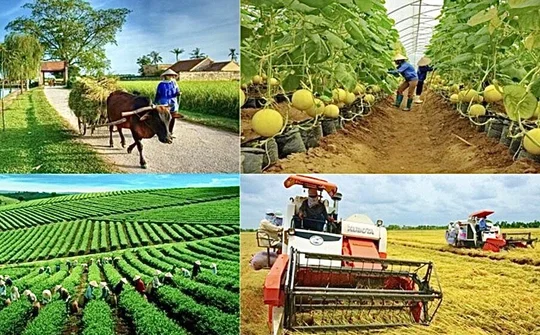Việt Nam phấn đấu đến năm 2030 cơ bản không còn huyện nghèo, xã đặc biệt khó khăn