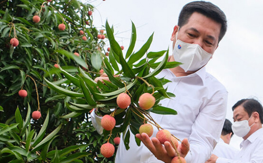 Bộ trưởng Công Thương: Đặc sản Việt Nam sẽ từ nhà sản xuất đến tận tay người tiêu dùng quốc tế