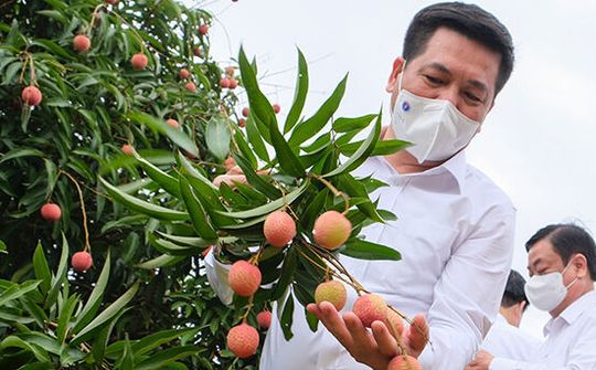 Bộ trưởng Công Thương: Đặc sản Việt Nam sẽ từ nhà sản xuất đến tận tay người tiêu dùng quốc tế
