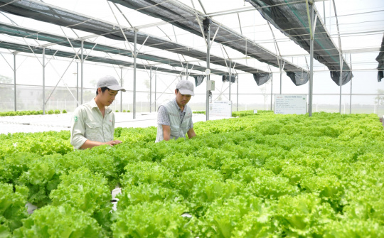 Tái cơ cấu ngành Nông nghiệp Hà Nội theo hướng hiện đại