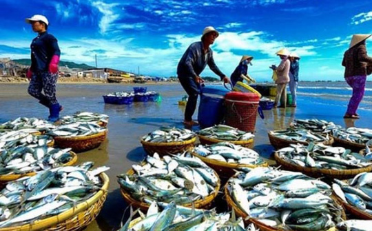 Gov’t vows to end illegal, unreported, unregulated fishing in 2022