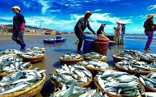 Gov’t vows to end illegal, unreported, unregulated fishing in 2022