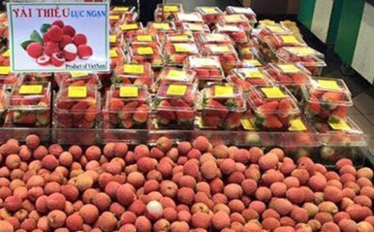 Bảo hộ nhãn hiệu ở nước ngoài: Không để doanh nghiệp chông chênh