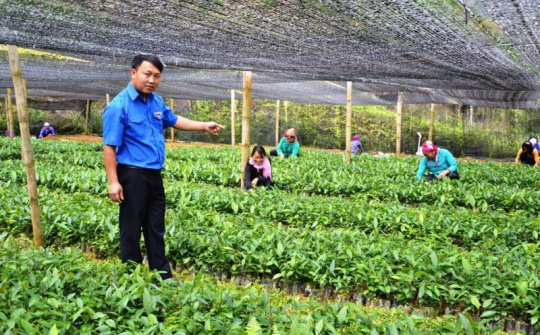 Đồng bào dân tộc thiểu số ở Lào Cai làm kinh tế HTX (Bài 1): Thủ lĩnh thanh niên nơi thượng nguồn sông Chảy