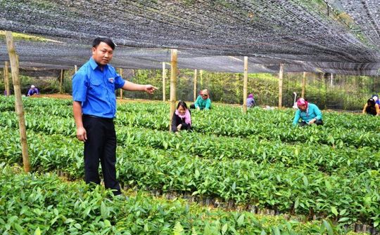 Đồng bào dân tộc thiểu số ở Lào Cai làm kinh tế HTX (Bài 1): Thủ lĩnh thanh niên nơi thượng nguồn sông Chảy