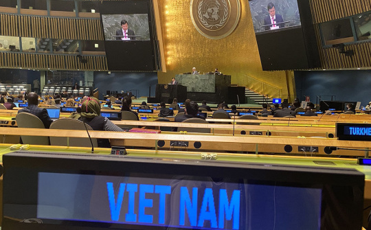 Việt Nam đóng góp thực chất vào công việc của Hội đồng Bảo an