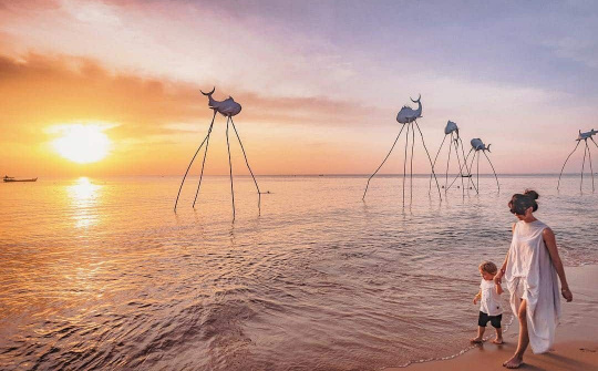 Bộ Giao thông vận tải thống nhất thí điểm đón khách du lịch quốc tế đến Phú Quốc