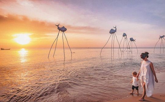 Bộ Giao thông vận tải thống nhất thí điểm đón khách du lịch quốc tế đến Phú Quốc