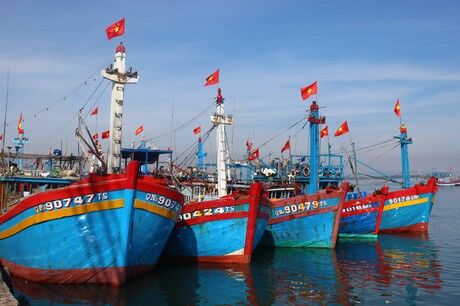 Xử lý nghiêm việc móc nối đưa tàu cá, ngư dân Việt Nam đi khai thác hải sản trái phép ở nước ngoài