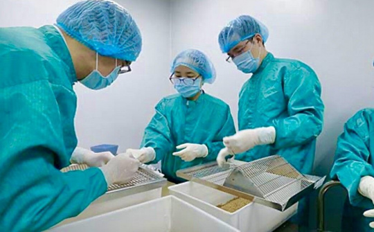 Thủ tướng yêu cầu quan tâm, ưu tiên đặc biệt để sản xuất bằng được vaccine nhanh nhất, sớm nhất