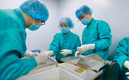 Thủ tướng yêu cầu quan tâm, ưu tiên đặc biệt để sản xuất bằng được vaccine nhanh nhất, sớm nhất
