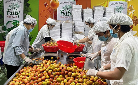 Lòng tin của người tiêu dùng quốc tế tăng lên với nông sản Việt