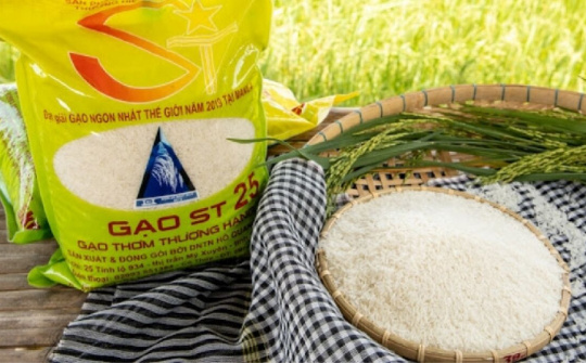 Thiếu hiểu biết về bảo vệ thương hiệu, doanh nghiệp khó cạnh tranh nơi 'biển lớn'