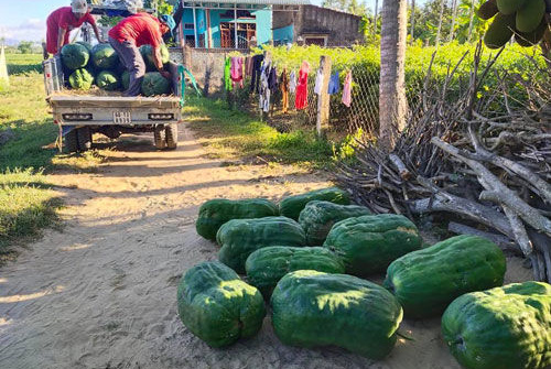 Gửi quà vào Nam, gửi cả tâm tình