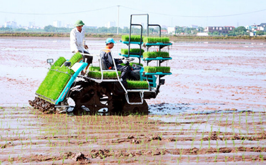 Nhiều hỗ trợ phát triển cơ giới hóa đồng bộ trong nông nghiệp