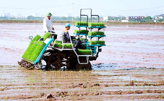 Nhiều hỗ trợ phát triển cơ giới hóa đồng bộ trong nông nghiệp