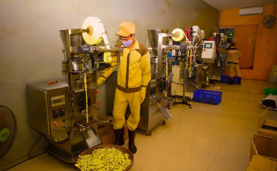 Tháo gỡ khó khăn do dịch Covid-19: Phát huy vai trò Đảng viên ngoài quốc doanh