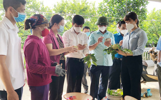 Thái Nguyên: Hỗ trợ, kết nối tiêu thụ sản phẩm na Võ Nhai
