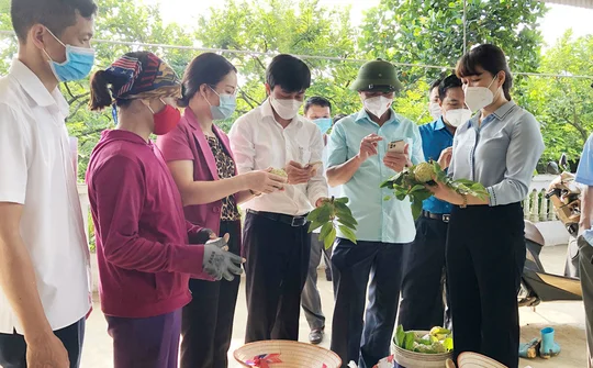 Thái Nguyên: Hỗ trợ, kết nối tiêu thụ sản phẩm na Võ Nhai