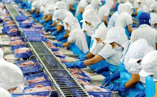 Một năm thực thi EVFTA: Cần duy trì nỗ lực trong thập niên tiếp theo