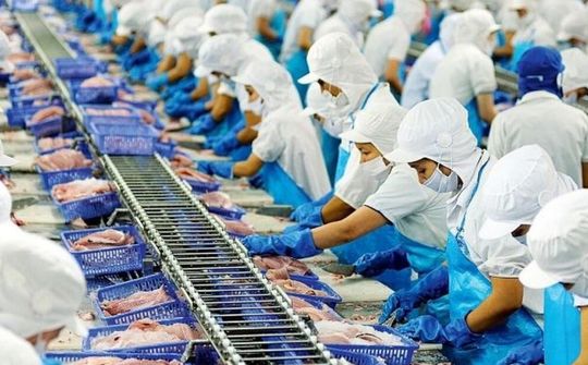 Một năm thực thi EVFTA: Cần duy trì nỗ lực trong thập niên tiếp theo