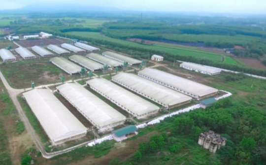 Gia Lai: Nông nghiệp sạch gắn với công nghệ cao