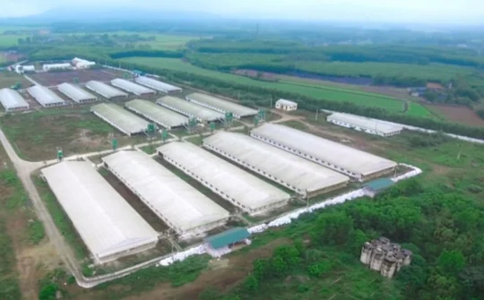 Gia Lai: Nông nghiệp sạch gắn với công nghệ cao