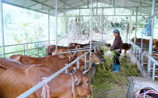 Cao Bằng: Bình Dương tập trung phát triển kinh tế, nâng cao đời sống nhân dân
