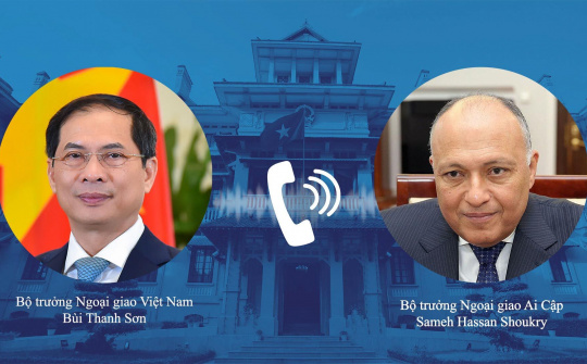 Nâng kim ngạch thương mại Việt Nam- Ai Cập lên 1 tỷ USD