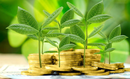 Ngân hàng Phát triển Việt Nam tăng tốc trên hành trình 'xanh hoá'