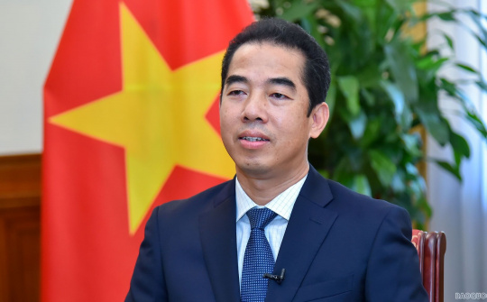 Thứ trưởng Tô Anh Dũng kiêm nhiệm Chủ nhiệm Ủy ban Công tác về các tổ chức phi chính phủ nước ngoài