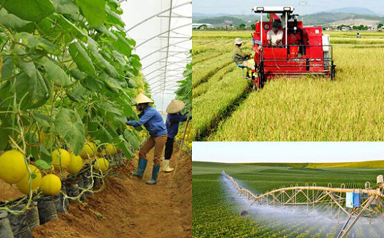 Để người nông dân được nghĩ thật, làm thật, hưởng lợi thật