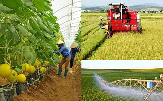 Để người nông dân được nghĩ thật, làm thật, hưởng lợi thật
