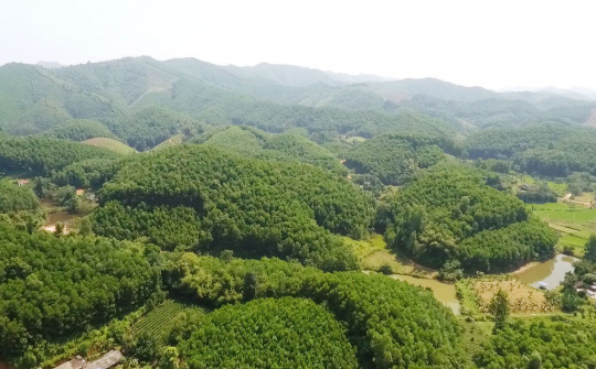 Đồng Hỷ, Thái Nguyên: Triển khai thực hiện xây dựng Dự án chứng chỉ rừng FSC