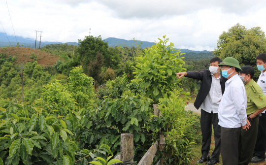 Kon Tum: Triển khai ngay nhiều phương án đảm bảo đạt tiêu chí NTM