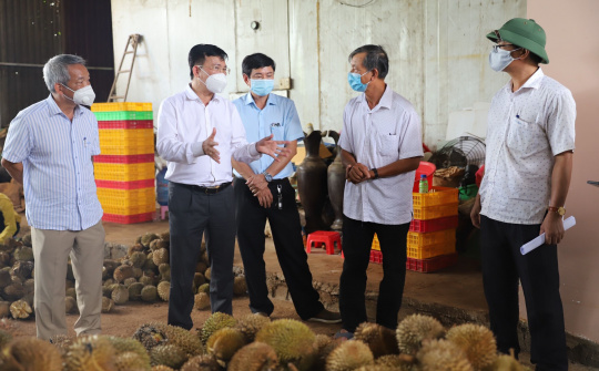 Chủ tịch UBND tỉnh Đắk Nông khảo sát việc trồng và tiêu thụ nông sản tại Đắk Mil