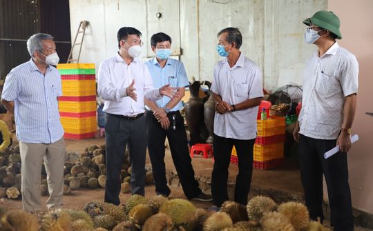 Chủ tịch UBND tỉnh Đắk Nông khảo sát việc trồng và tiêu thụ nông sản tại Đắk Mil