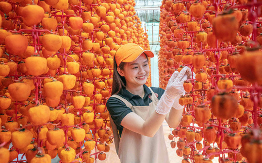 Lấy nông dân làm trung tâm